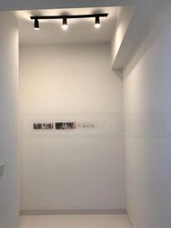 The Rise @ Oxley - Residences (D9), Apartment #577533571